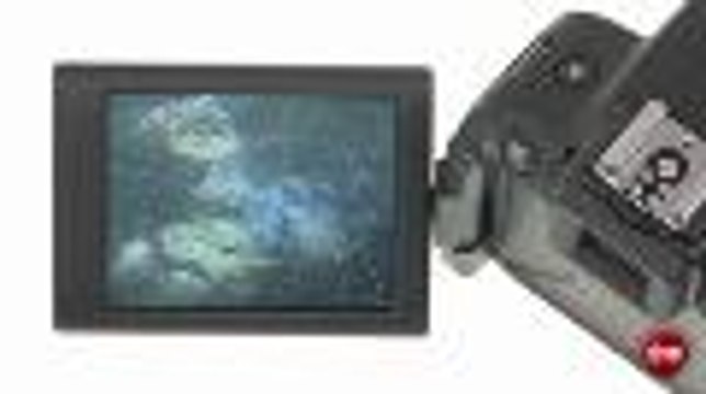 Démo du Canon PowerShot SX50 HS