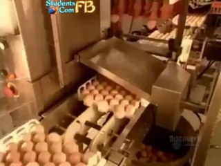 which come first  'chiken or egg