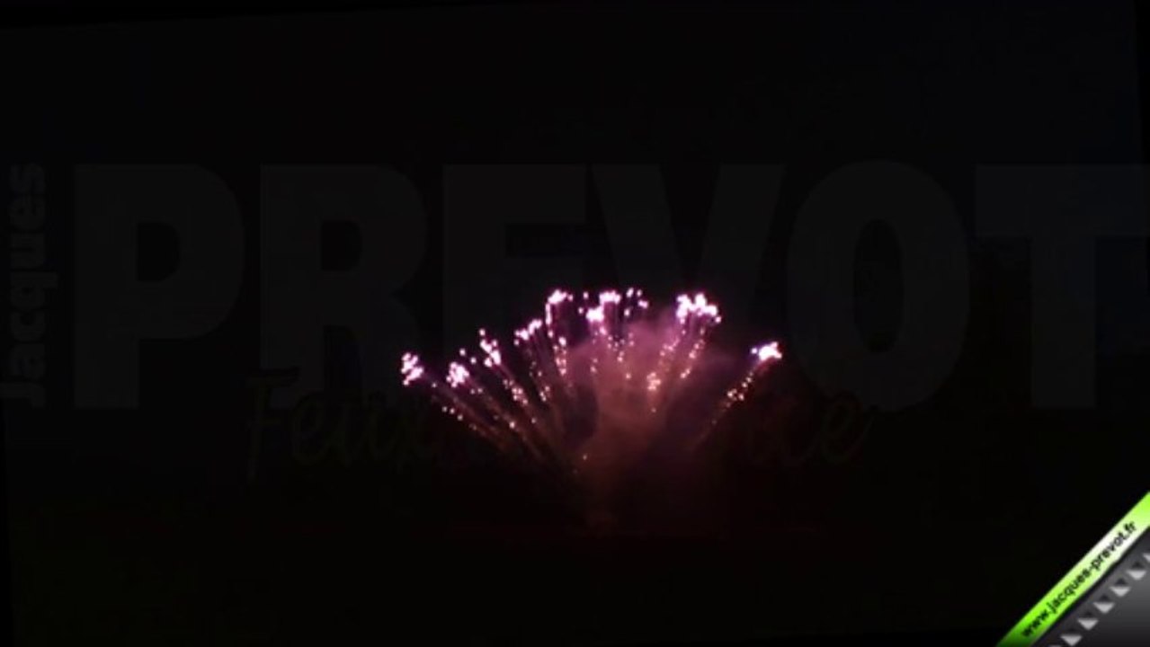 Compact 100 tirs PAF Pourpre or scintillant