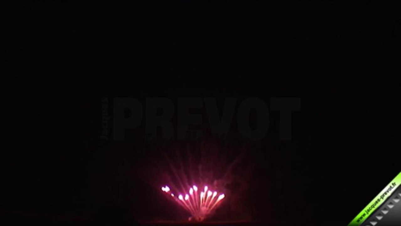 Compact 100 tirs PAF Pourpre