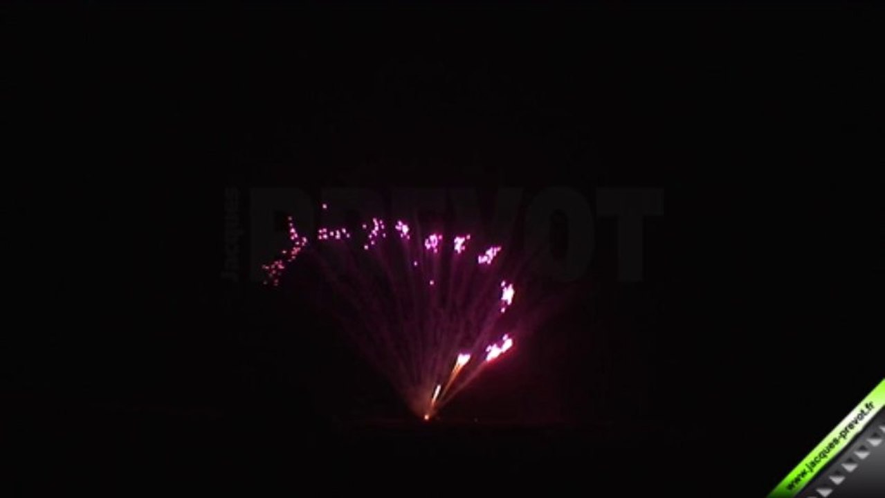 Compact 100 tirs Z PAF Pourpre