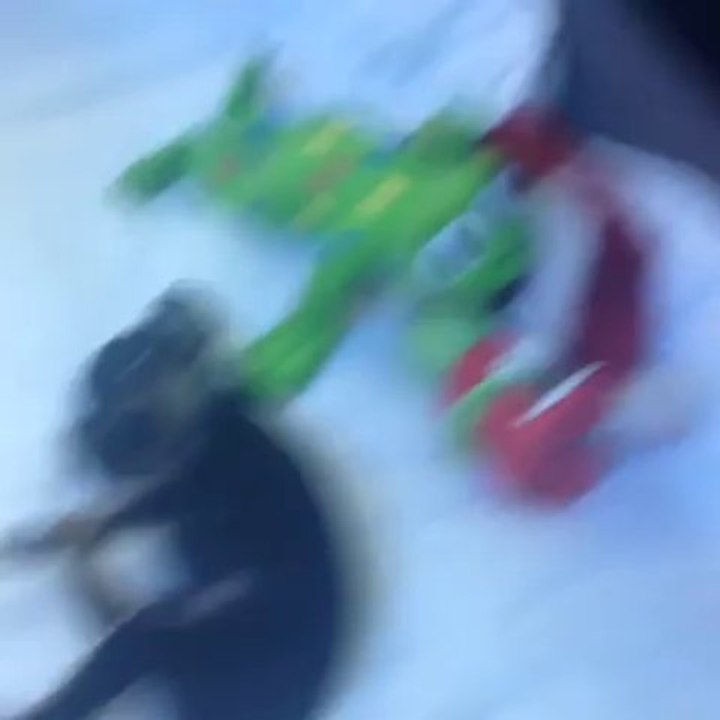 Satılık Köpek Minyatür Pincher Yavru Yavruları 05333974577