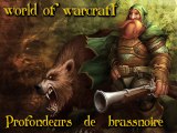 World of Warcraft Profondeurs de Brassenoire