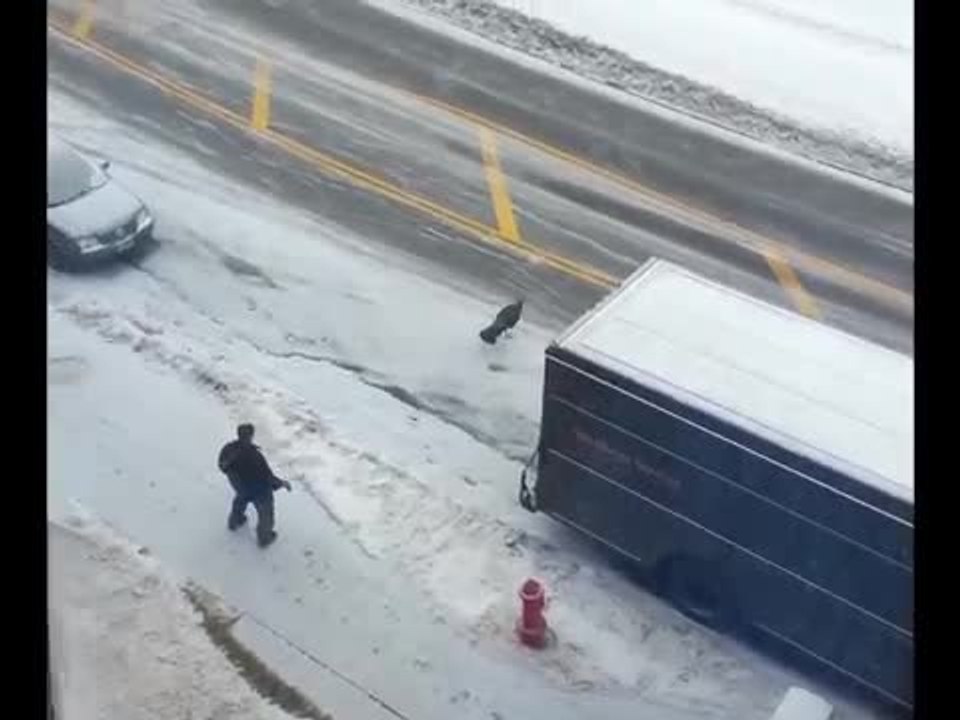 Wild Turkey Chases Down UPS Driver