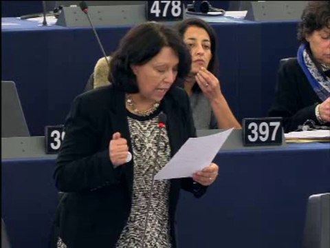 Malika Benarab-Attou sur l'inspection du travail en Europe (13 janvier 2014)