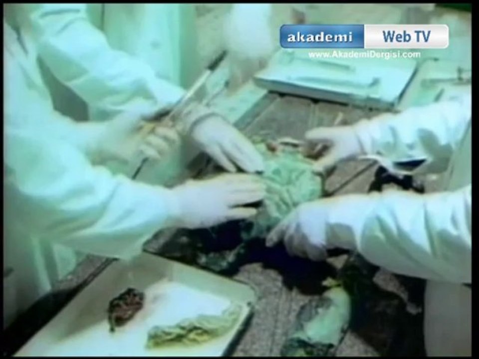 Sızdırılan KGB Arşivlerinden ŞOK UZAYLI ve UFO görüntüleri |  Bulunan uzaylıya yapılan otopsi