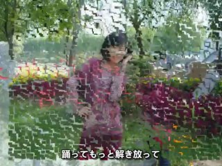 《Sunshine Girl 梁燕影集》