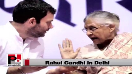 Rahul Gandhi: Delhi has developed immensely under Sheila government