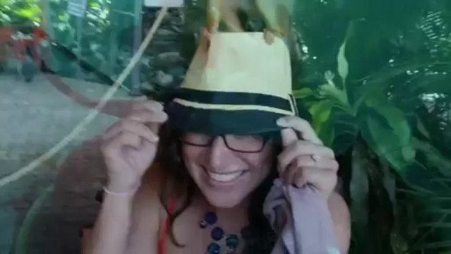 Proposal in Shark Infested Water