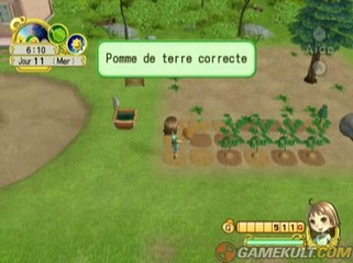 Harvest Moon : L'Arbre de la Sérénité - Fais péter les patates