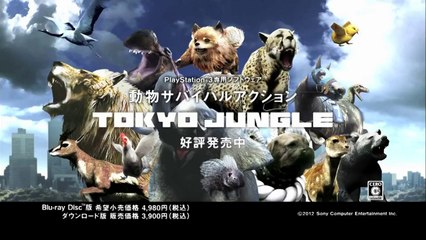 Tokyo Jungle - Pub 200K