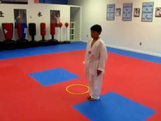 Kids' Taekwondo Training Program