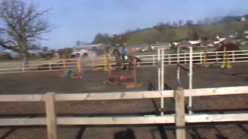 Rose schooling at home over 1.