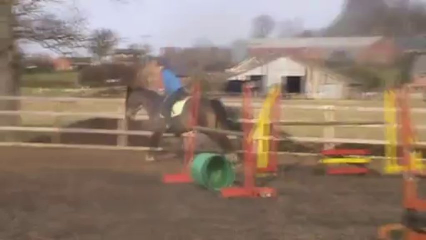 Rose Schooling at home