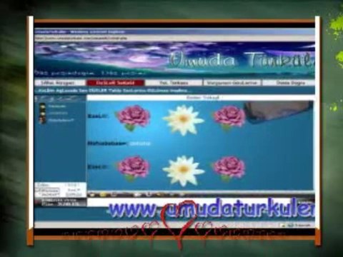 Nadir Köseoglu - Nar Agacı