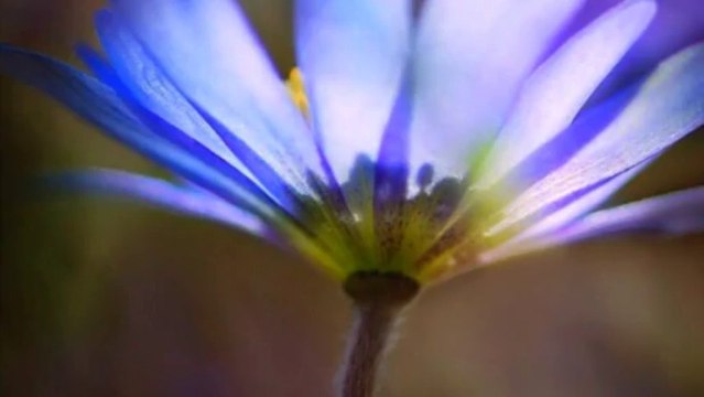 HAYDAR DEMİR - ADI GÜZEL KENDİ GÜZEL MUHAMMED