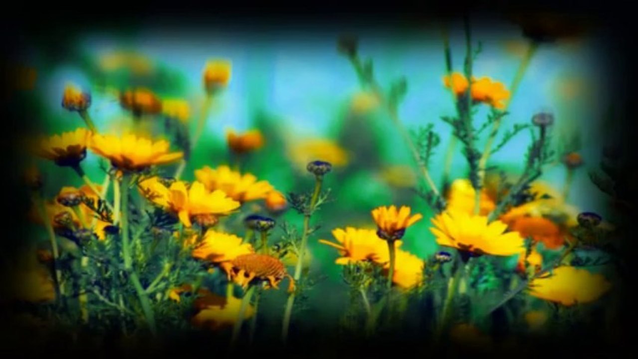 HAYDAR DEMIR - ALMA TENDEN CANIMI (Do not take my soul from my body, until I see my beloved)