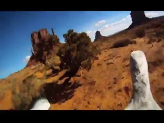 Kusbakisi Dunya BL 01 P1