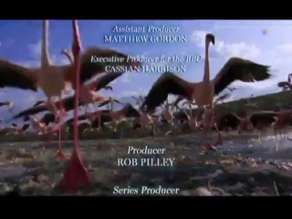 Kusbakisi Dunya BL 01 P3