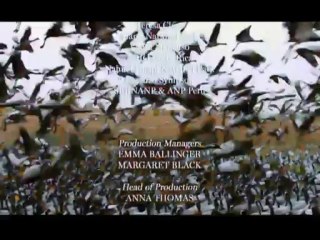 Kusbakisi Dunya BL 04 P3