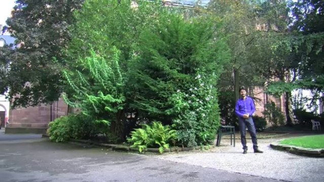 Antoine Dubois, chargé de missions économiques à la Fondation Vincent de Paul