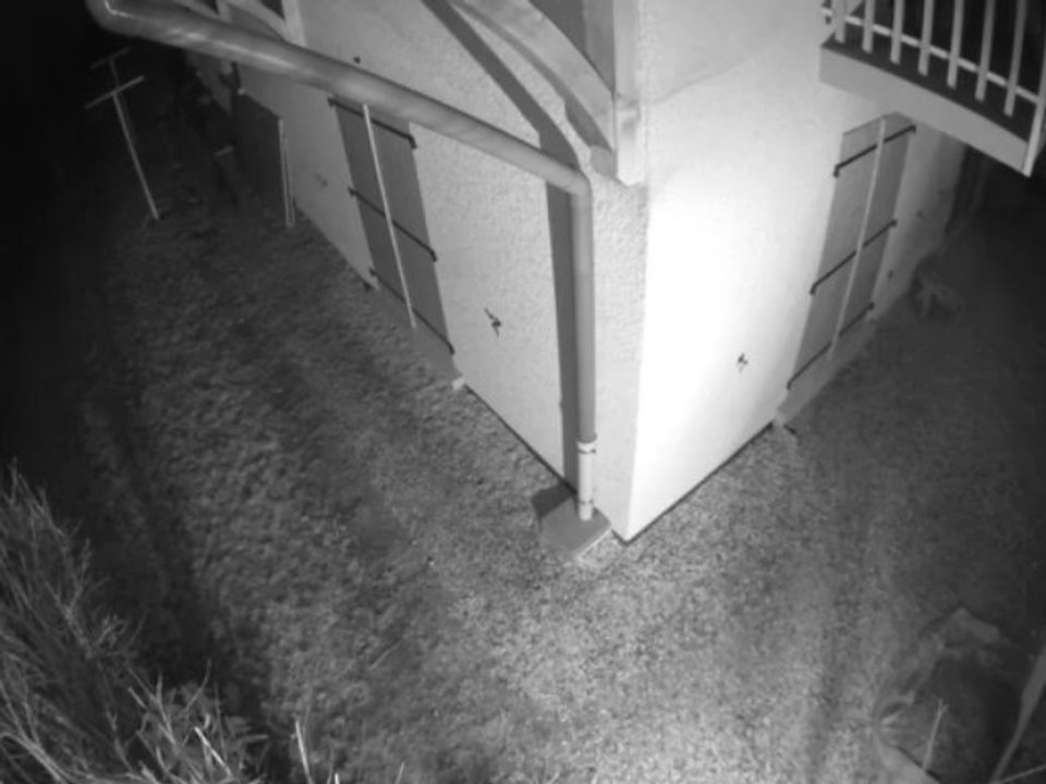 La Bete 2014-01-10