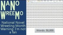 NaNoWriMo, Thoughts on National Novel Writing Month