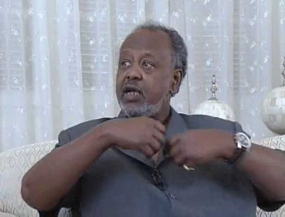 Ismaïl Omar Guelleh : "Les Égyptiens et les Tunisiens n'arrivent pas à diriger leur révolution"