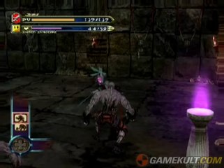 Castlevania : Curse of Darkness - Combat contre des clones de Voldo