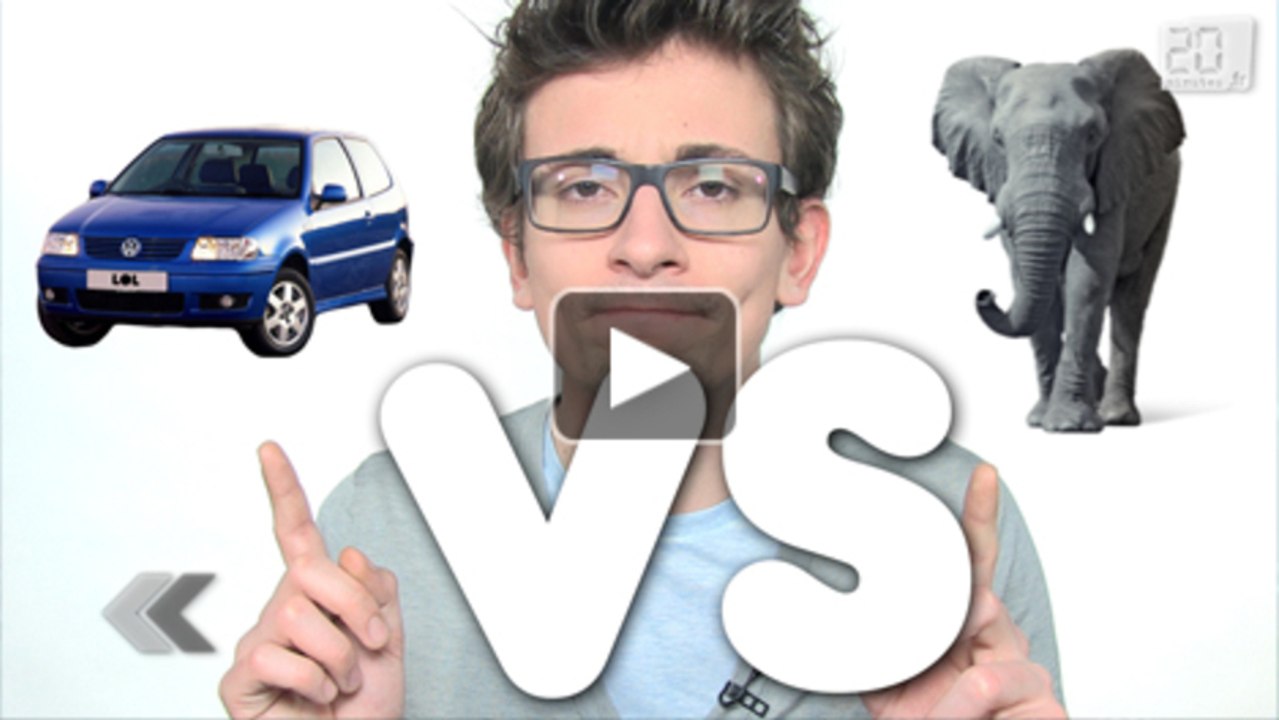 Éléphant vs Voiture