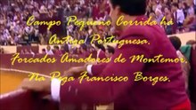 Francisco Borges GFA Montemor - Época 2013 vídeos parte I