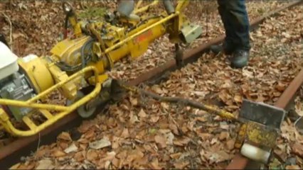 Abriss der Ybbstalbahn, Göstling 14.1.2014