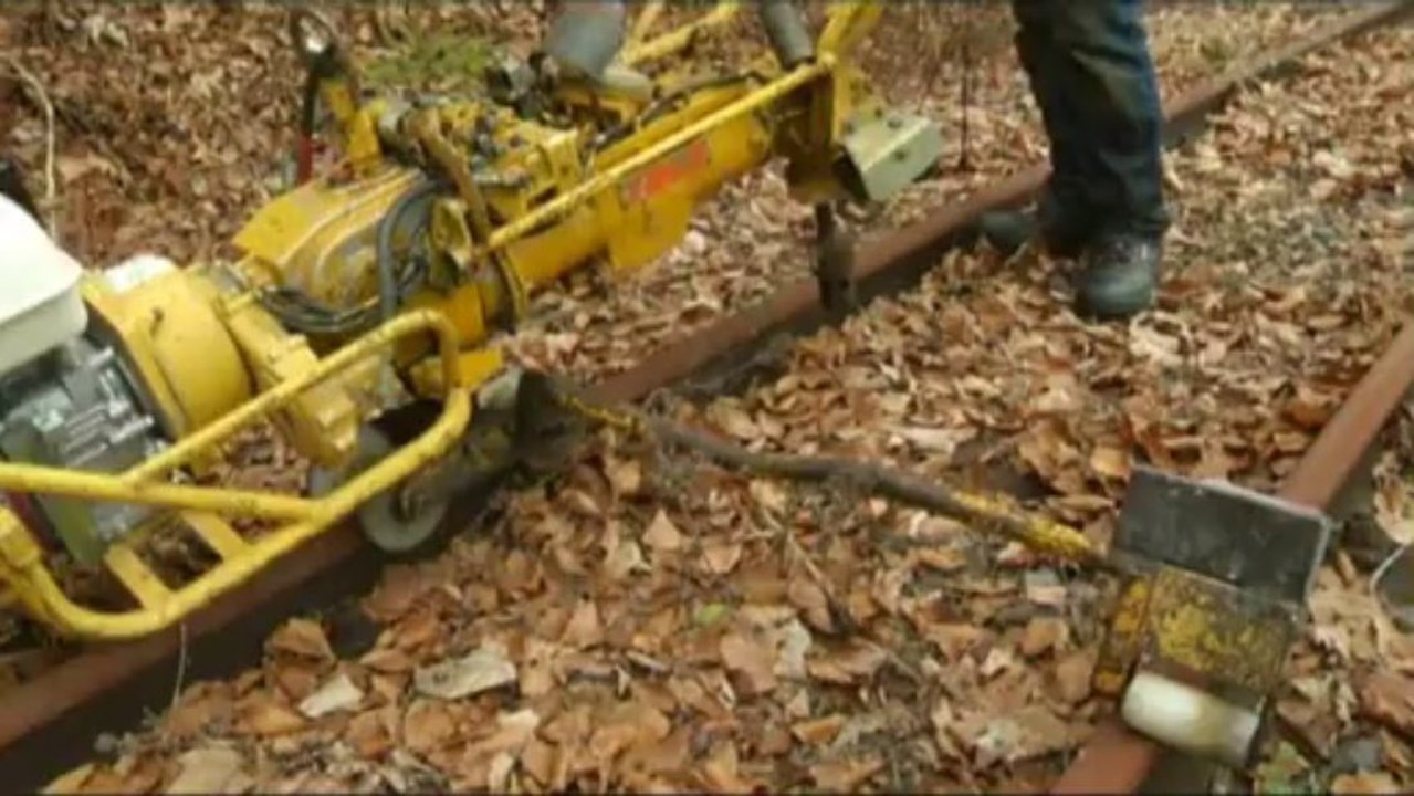 Abriss der Ybbstalbahn, Göstling 14.1.2014