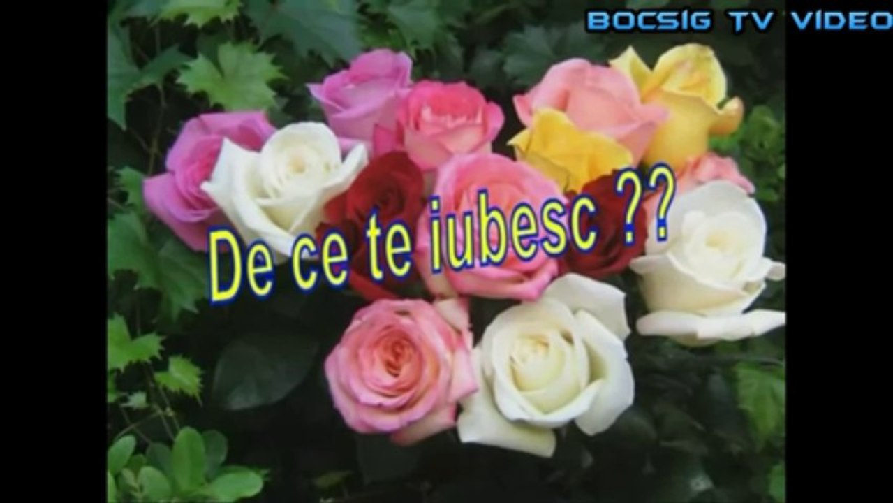 Mesaj din suflet pentru tine(Bocsig Tv Video™)