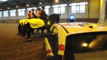 Entraînement de la police à cheval