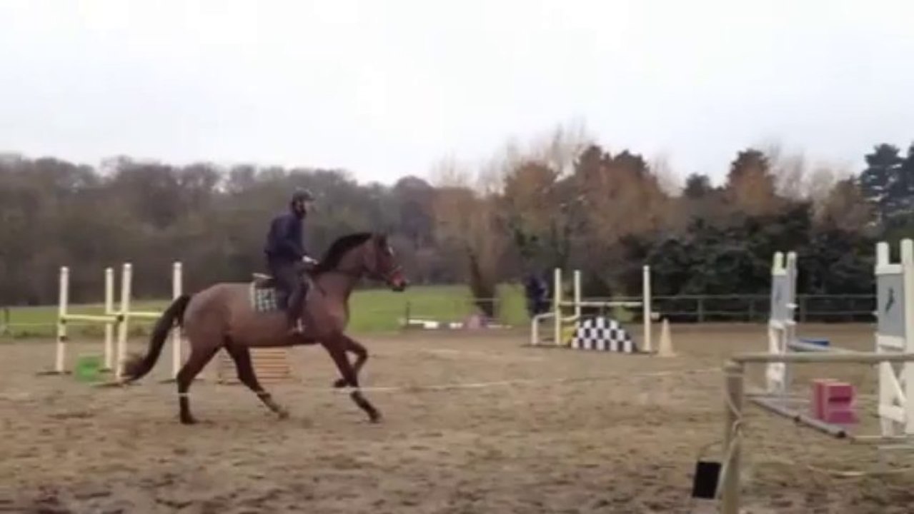 Junior