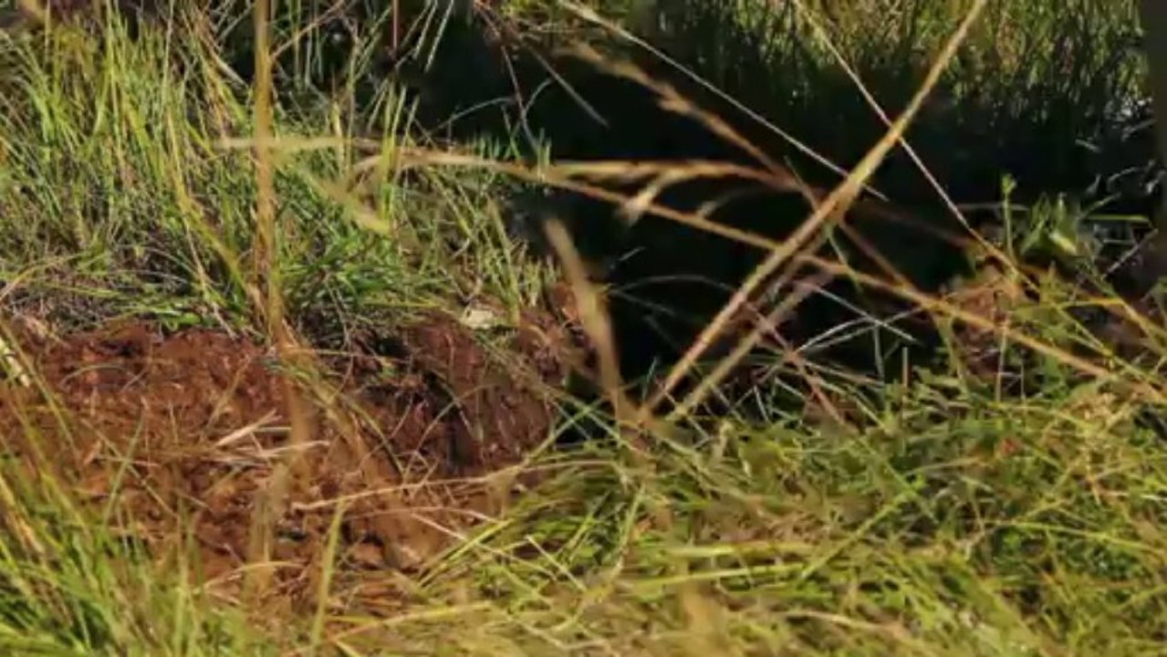 En tête à tête avec Jean-François Marc