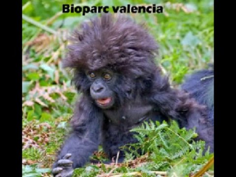 In Valencia Guesthouse, Valence