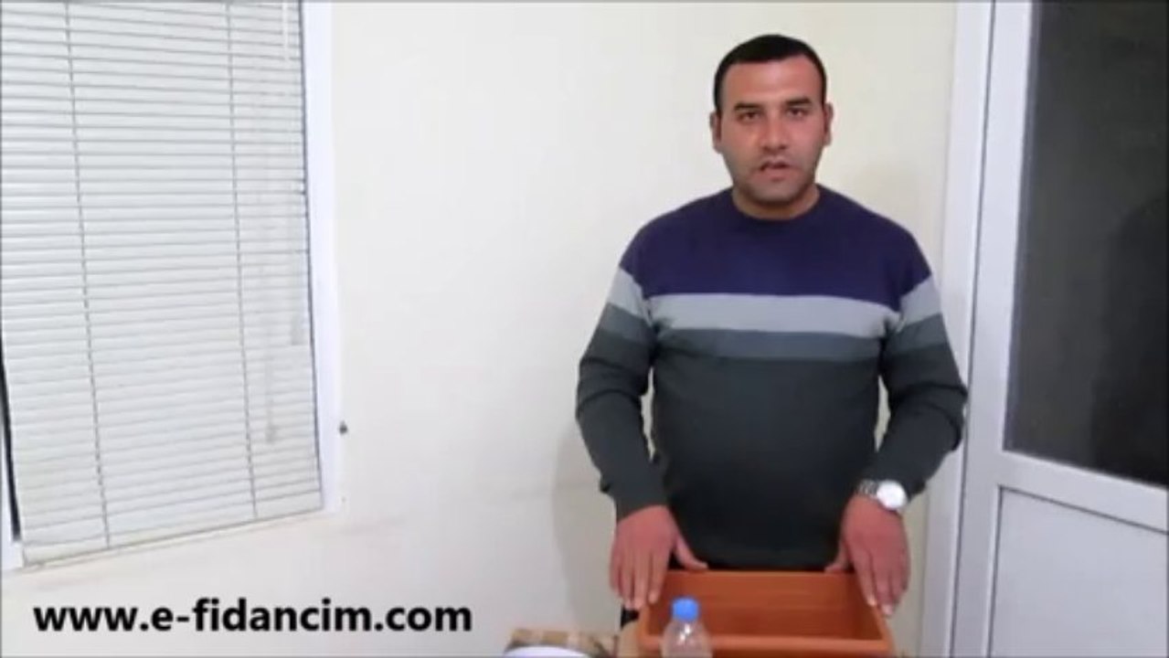 Sebze Tohumu Çiçek Tohumu  Ekimi Yapılırken Saksı Toprağı Nasıl Olmalıdır