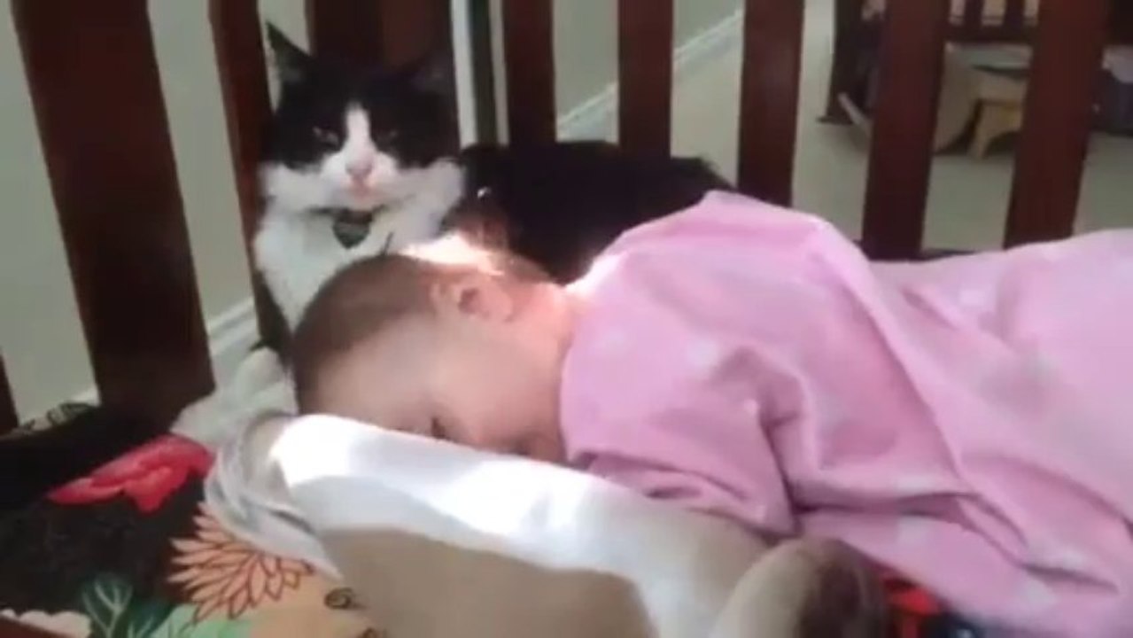 Kitty Cleaning Toddler
