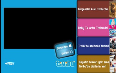 Ayşen Birgör - Dilek Taşı