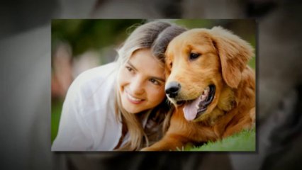 דשא סינטטי לכלבים וחתולים - דשא קבוע