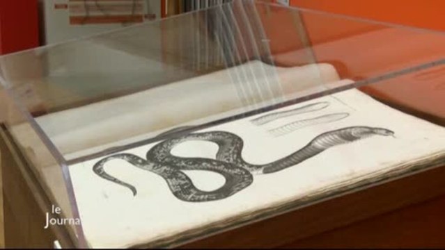 Exposition : La campagne d’Egypte à la médiathèque (Vendée)