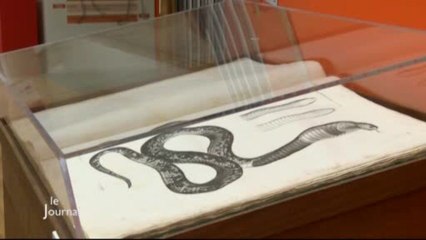 Exposition : La campagne d’Egypte à la médiathèque (Vendée)