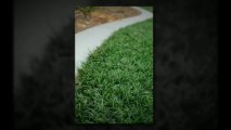 דשא סינטטי עתלית - חייגו 077-2150031-  דשא קבוע