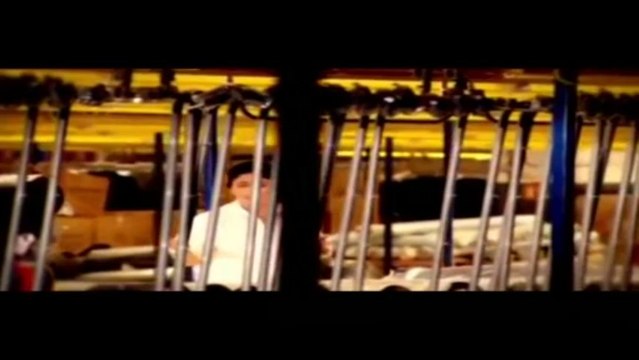 Güler Duman _ Ayaz Yarim