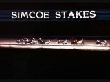 1983 Simcoe Stakes – Harness Racing