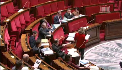 PROROGATION DU MANDAT DES MEMBRES DE L’ASSEMBLÉE DES FRANÇAIS DE L’ÉTRANGER  - Mardi 14 Mai 2013