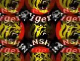 Hanshin Tigers DS - Trailer officiel