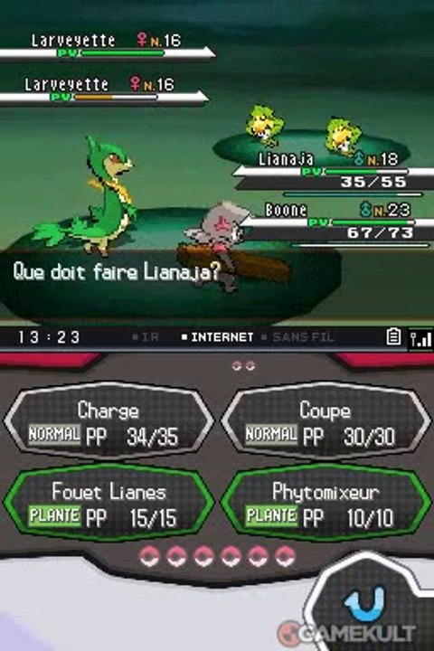 Pokémon Version Blanche - Les jumelles s'entraident